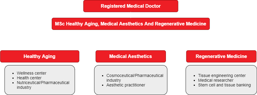 Career Pathway
